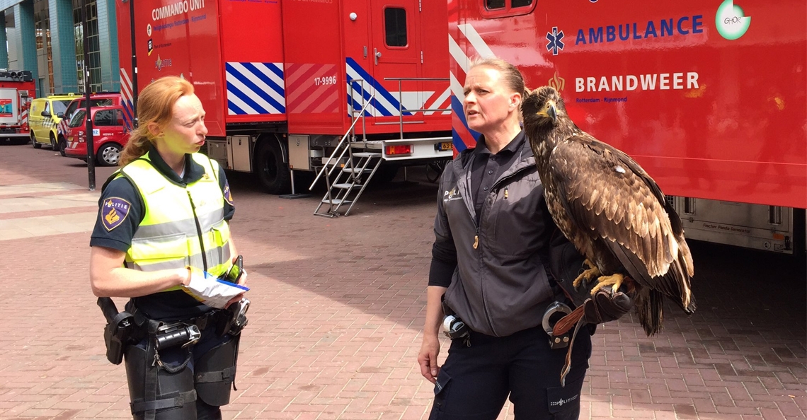 1494927543-zeearend-tegen-drones-bij-huldiging-feyenoord-rotterdam-coolsingel-2017.jpg