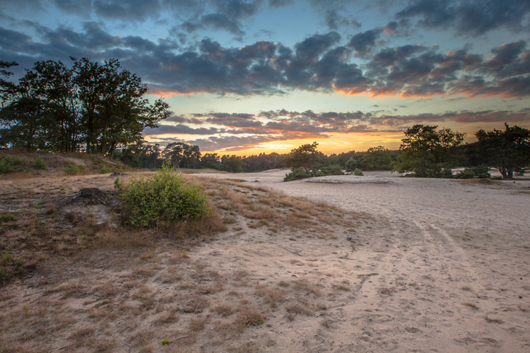 Soester Duinen gefilmd met DJI Phantom 3 Advanced