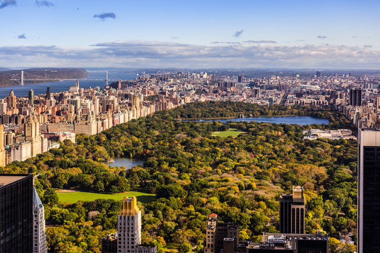 Central Park in 4K