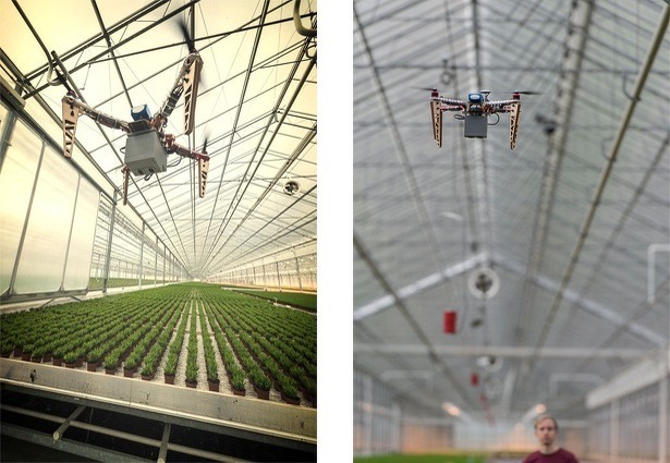 applied-drone-innovations-research-development-drones-greenhouses-holland