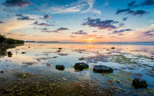 drone-florida-keys-mosquito-preventie