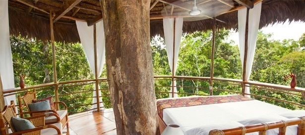 treehouse-lodge-peru-boomhut-hotel